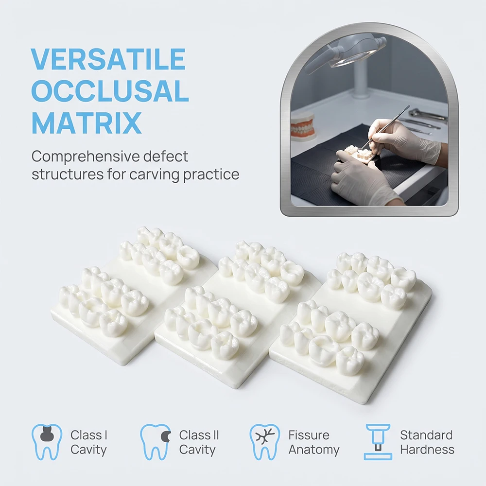 Dental Practice Restoration Model Cavity Preparation Tooth Module for Dentist Students Exercise Filling Training Teaching Model