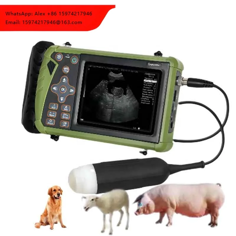 DAWEI Portable Veterinary Sheep Goats Ultrasound Scanner For Small Ruminants