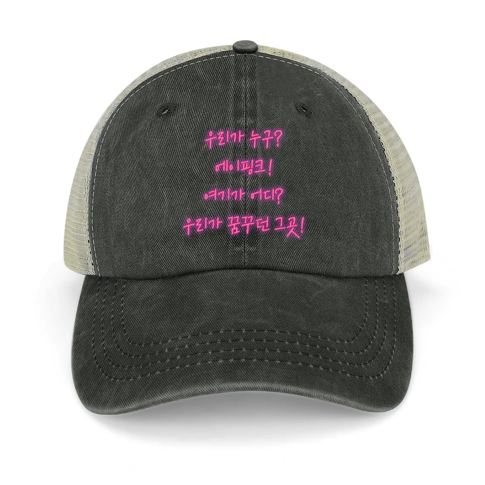 

who we are we are apink! where are we the place we dreamed of! in Korean for Pink Panda Baseball Cap