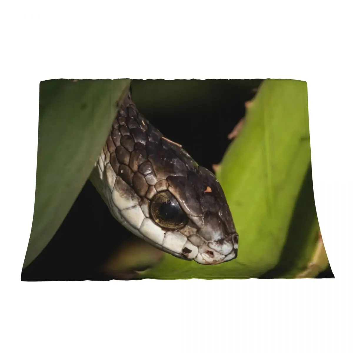 

Boomslang (Dispholidus typus) Throw Blanket Flannel Fabric for sofa Fashion Sofas Weighted Blankets