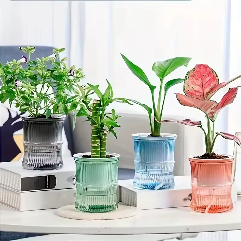 Vaso Autoirrigavel Hidroponico Transparente Camada Dupla