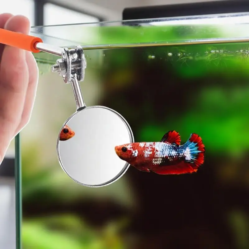 Durable Aquarium Betta Training Mirror Reflective Scalable Stainless Steel Design for Fish Exercise