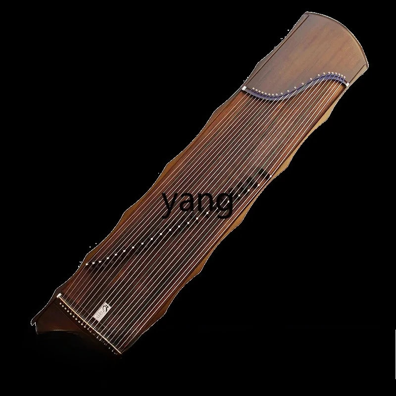 CXM  gold silk nanmu paulownia plain surface guzheng piano beginner digging zheng fuxi style