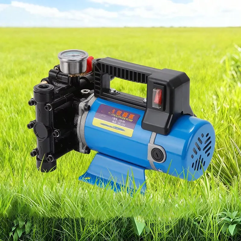 12V 48V 220V Piston Cylinder Water Pump Electric Sprayer Unit For Farm Pesticide Irrigation Disinfection Vehicle Clean