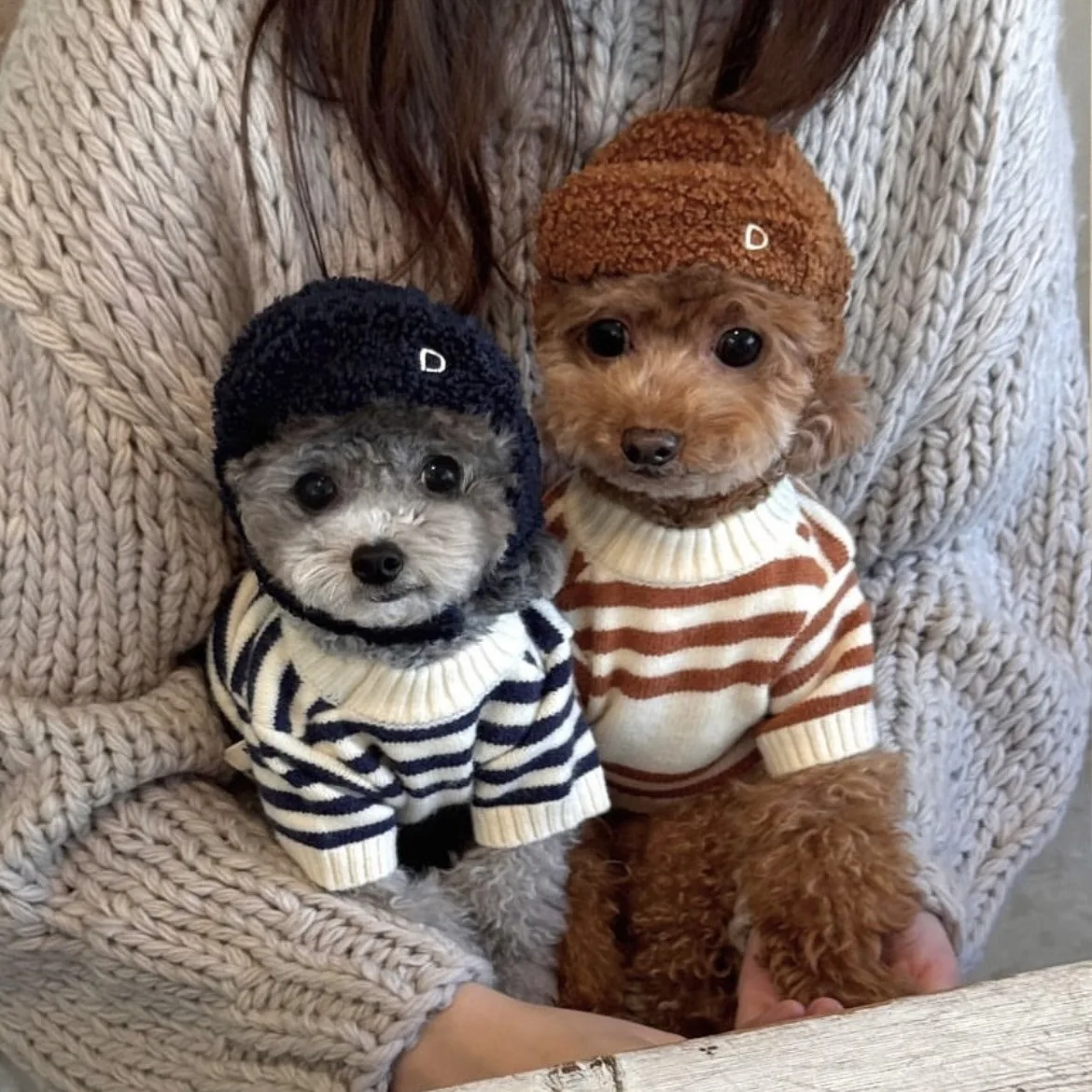 

INS Popular Pet Knitted Sweaters For Cute Small Dogs In Autumn And Winter