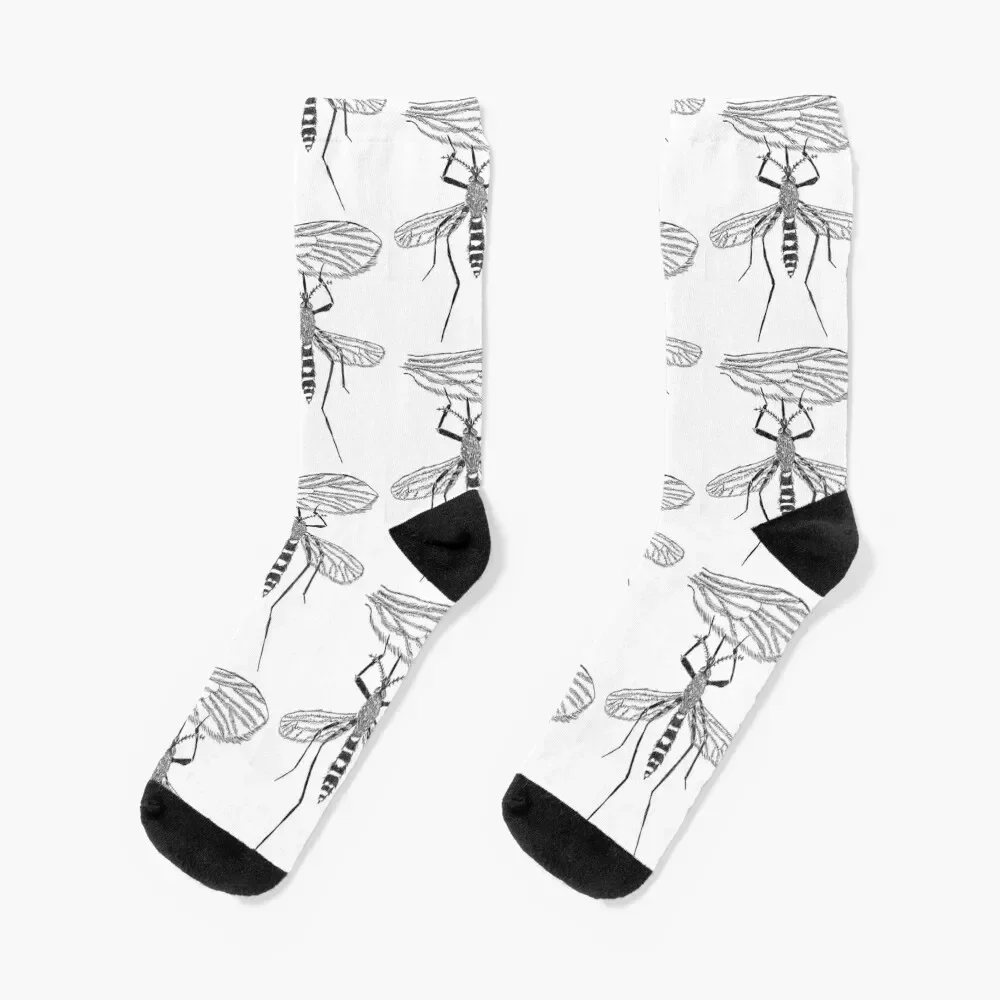 Mosquito Wing Anatomy Socks cotton funny sock Lots golf Male Socks Women's