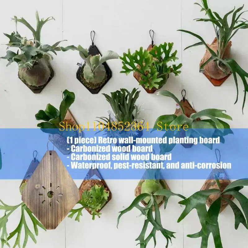 652F Handcrafted Fern Mounting Board Wall Planter Lightweight for Climbing Plant Frame Lightweight Wall Decoration