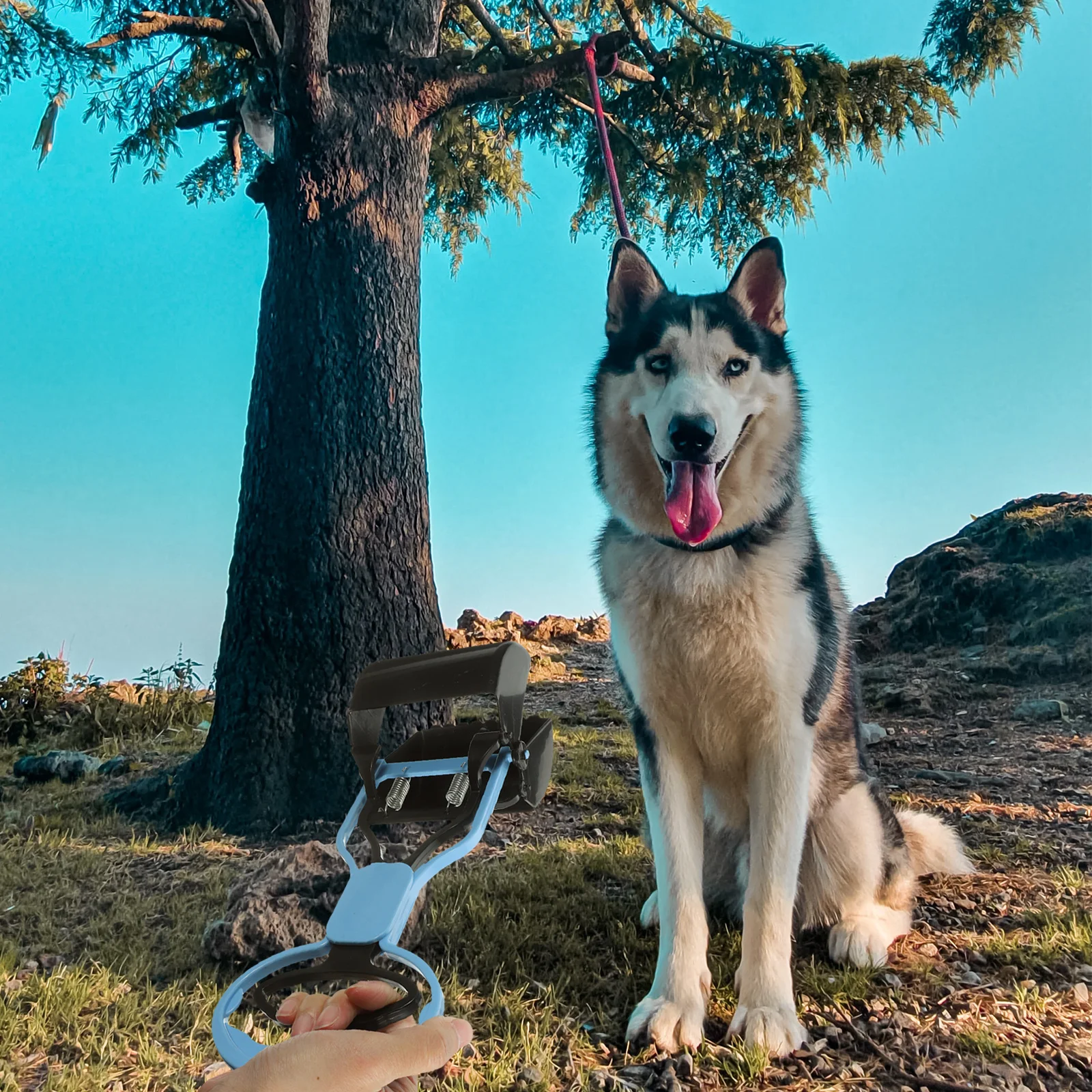 

Pet Poop Scoop Portable Long Handle Eco-Friendly ABS Material Easy One Hand Use Pooper Scooper Dog Waste Pickup Outdoor Cleaning