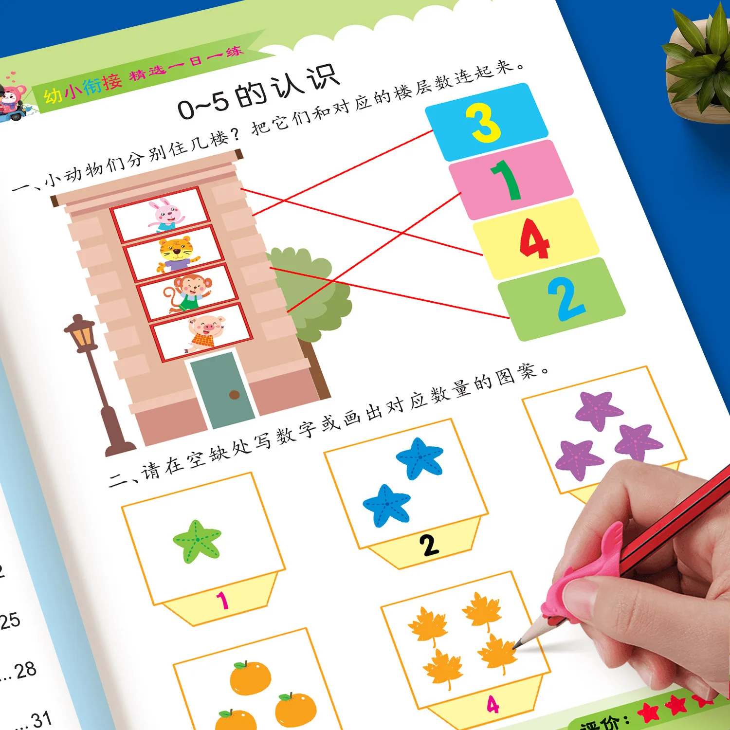 Early Childhood Transition Pinyin Literacy Mathematics Language Training Concentration