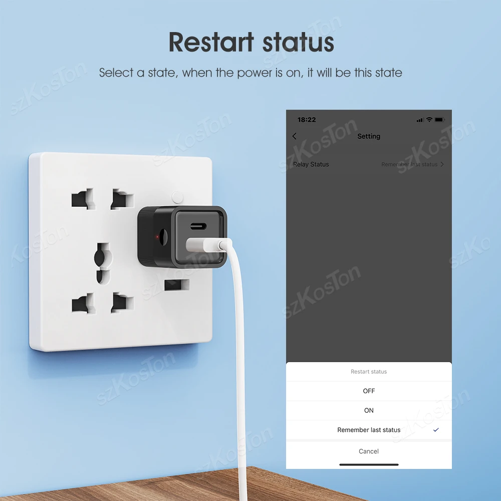 Tuya Adaptor USB mikro WiFi, Adaptor daya tipe C, steker pengisian daya waktu pintar bekerja dengan Alexa Google Assistant hidup cerdas