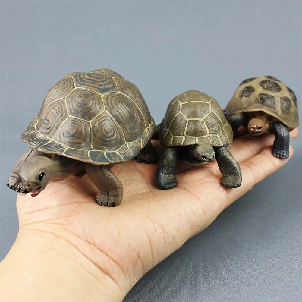 

Simulation Amphibious Animal Small Tortoise Educational Gift for Kids Color Cognition Imagination Development Plastic Realistic