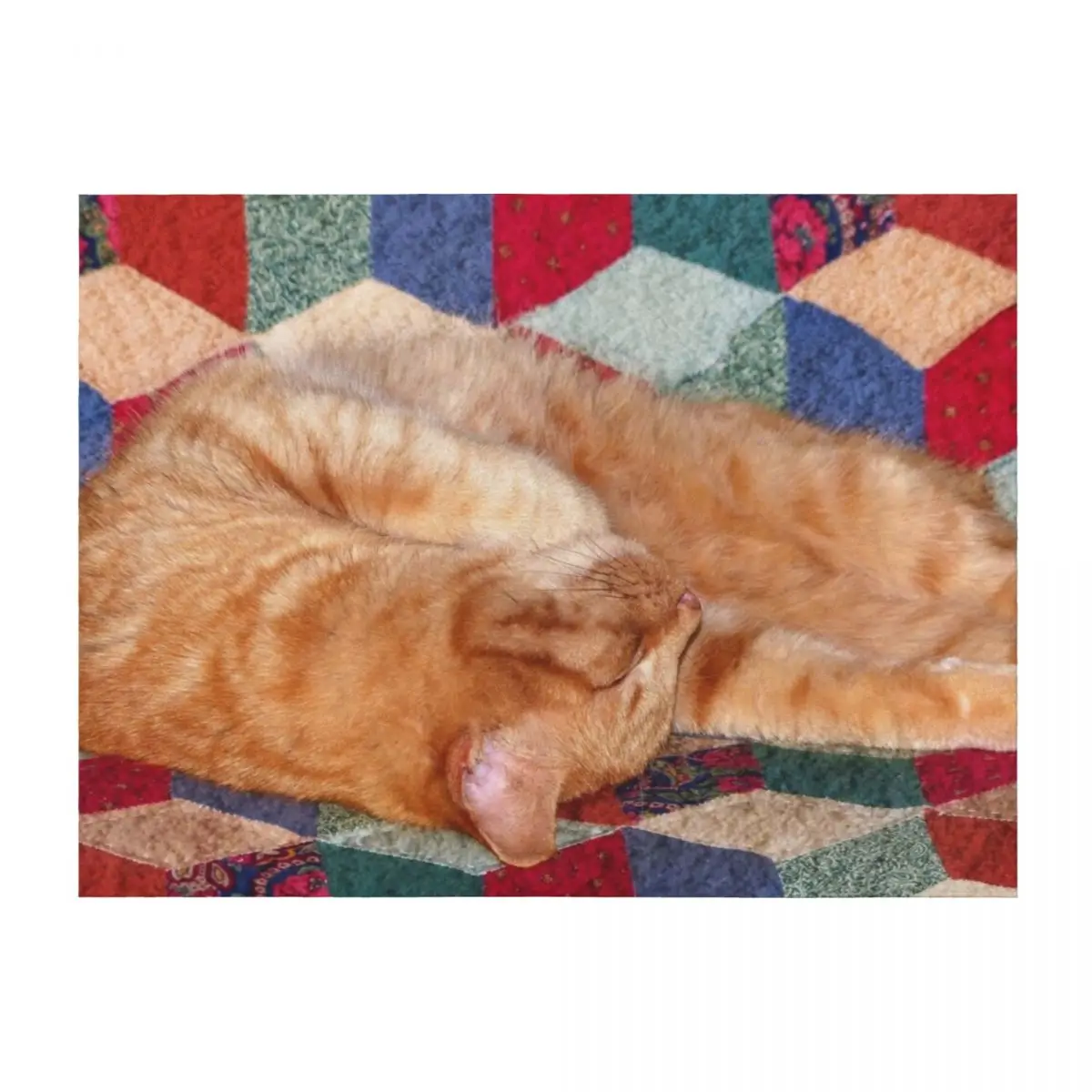 

Ginger Cat Napping Throw Blanket Sofa Throw Custom Bed linens for sofa Blankets