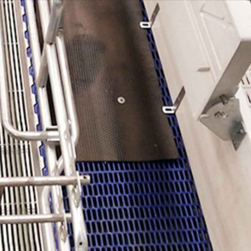 Double Sow Bed Production and Protection Integrated European Sow Bed Medium European Floor Sow Bed
