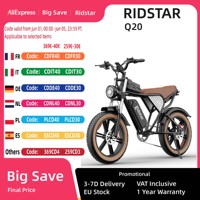 Ridstar Q20 Ebike 1500W 48V 20Ah 20*4.0 Inch Fat Tire Mountain Snow Electric Bicycles Hydraulic Brakes Electric Bike Motorcycle