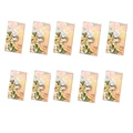 random 10pcs