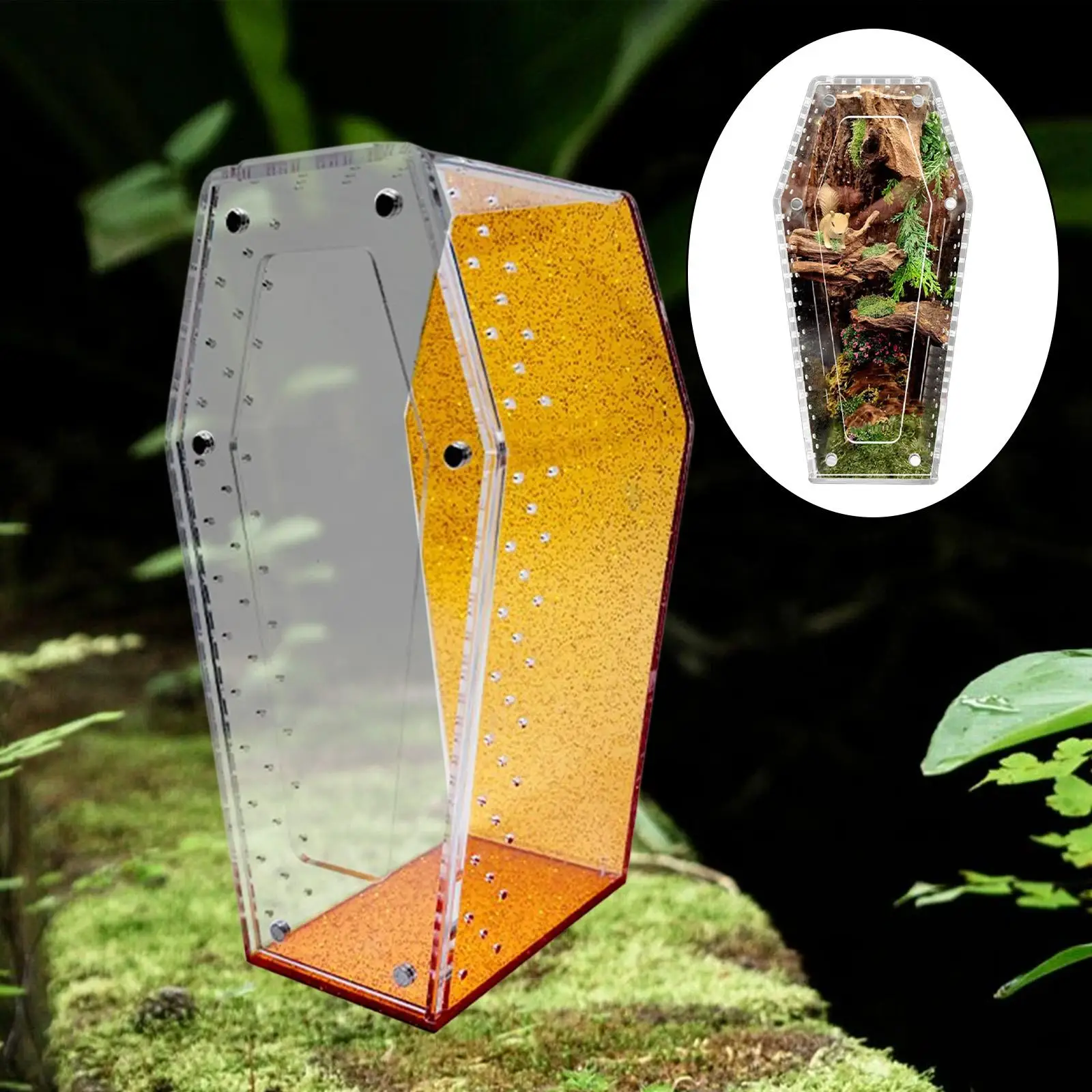 

Корпус для прыгающего паука в форме гроба, прозрачный резервуар, акриловый террариум для рептилий для Богомол