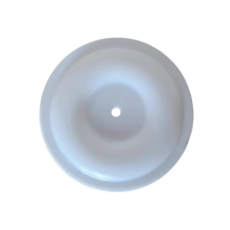 Coating Diaphragm Pneumatic Double Diaphragm Pump Accessories Ink Paint Pump Imported PTFE A10A15A20A26