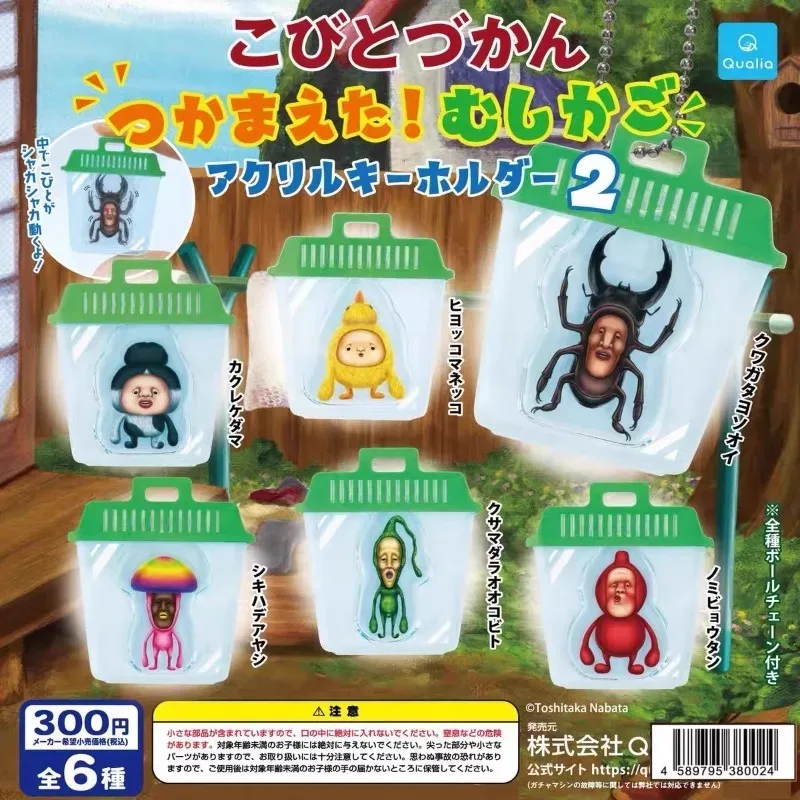 

Original Qualia Anime Gashapon Figurine Cute Myrtle Insect Farm Elf Keychain Kawaii Action Figure Miniature Capsule Toys Gift