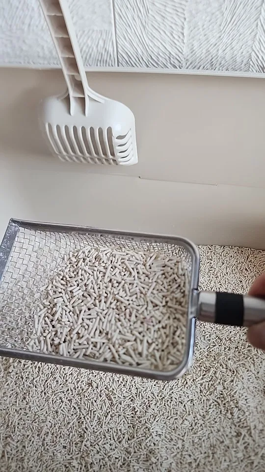 구매후기