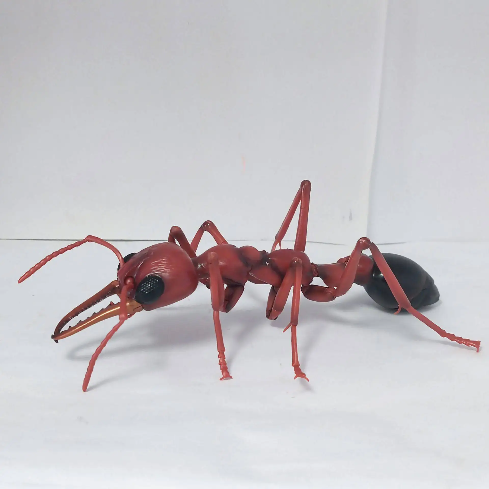 Bandai Genuine Biology Series Insect Figure，Lifelike Wasp Hornet & Bulldog Ant Model，High Simulation PVC Collectible Toy for Edu - view 6