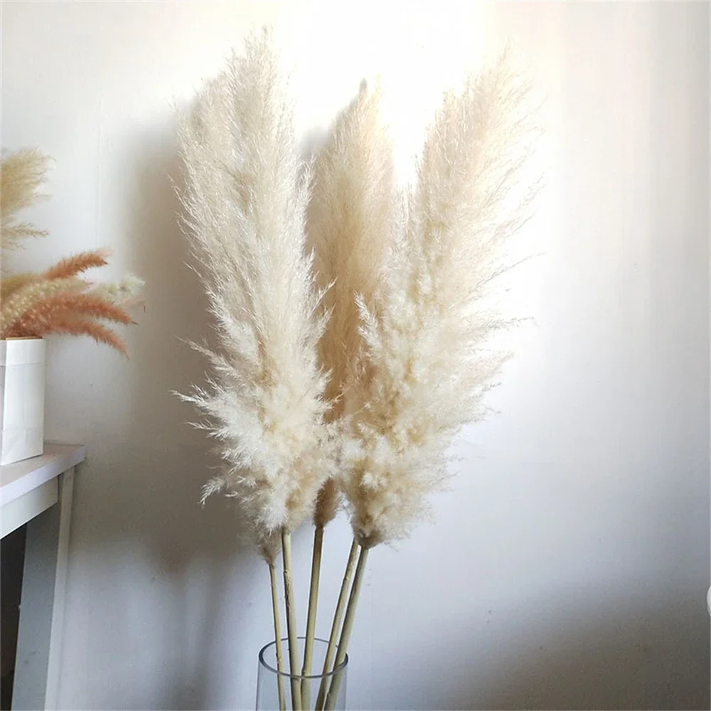 110-120cm Large Pampas Grass,White,Colorful Natural Dried Flower Bouquet,Fluffy for Boho Vintage Style,Home Wedding Flower Decor