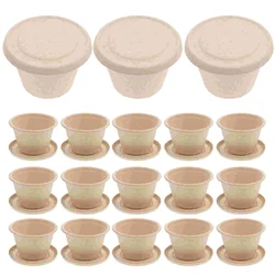 50 Pcs 4 Oz Pulp Containers With Lids Sauce Cups Condiment Cups Sealing Disposable Biodegradable Takeout Boxes For Kitchen