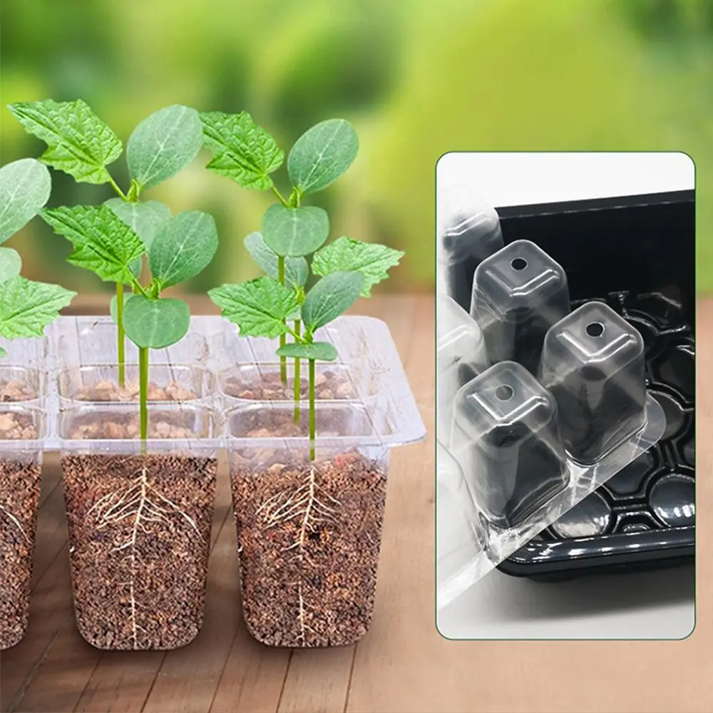 6/12Grids Seed Starter Tray Mini Greenhouse with Ventilation Hole Plant Germination Base Seeds Growing Plant Starter Kit Garden