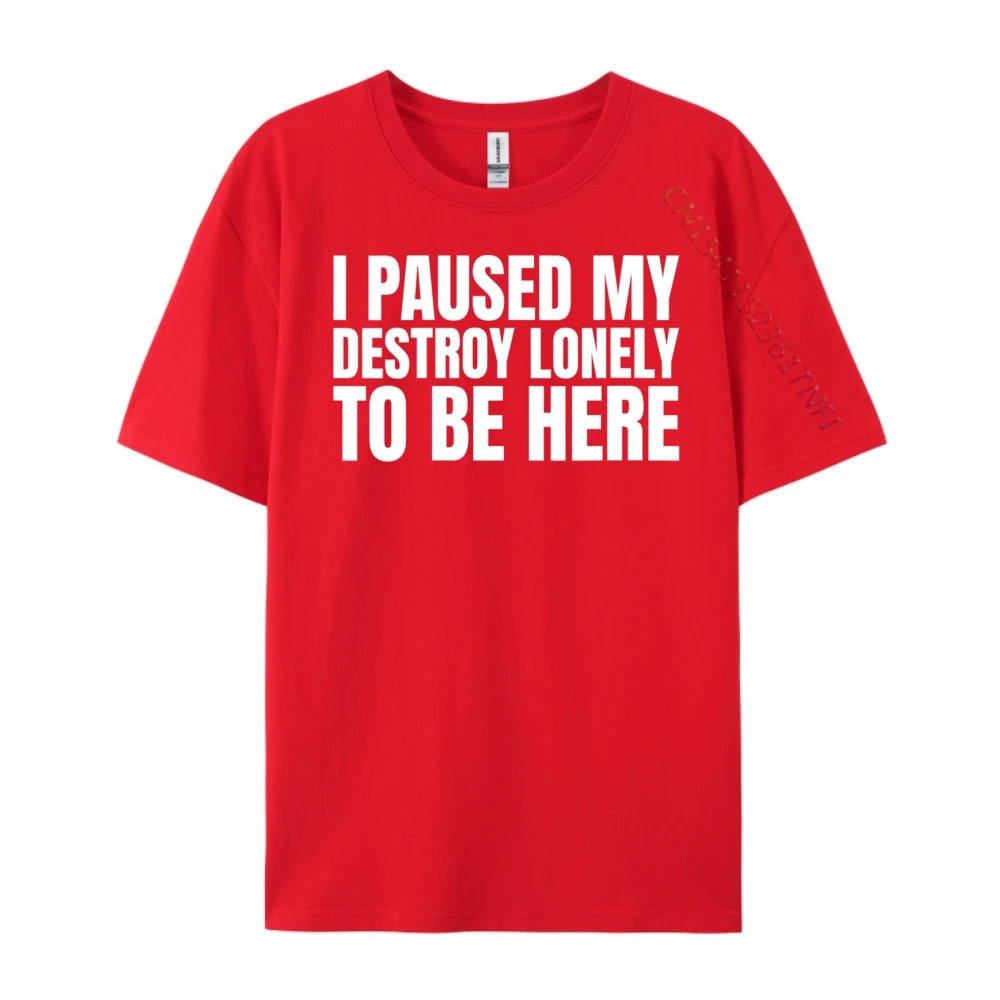 لقد أوقفت تدميرتي وحيدا ليكون هنا قميص كما قول Harajuku الكلاسيكية تي شيرت الرجال الملابس عيد القديس باتريك #3