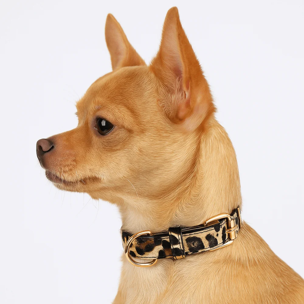 Leopard Print Dog Collar PU Leather Wear Resistant Leopard Dog Collar Pet Walking Adjustable Pet Collar Small Medium Dogs