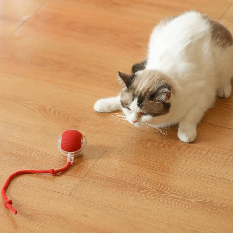 Pelotas automáticas resistentes a mordeduras para gatos, pelotas de juguete para gatos, pelota para saltar con cuerda, suministros para mascotas