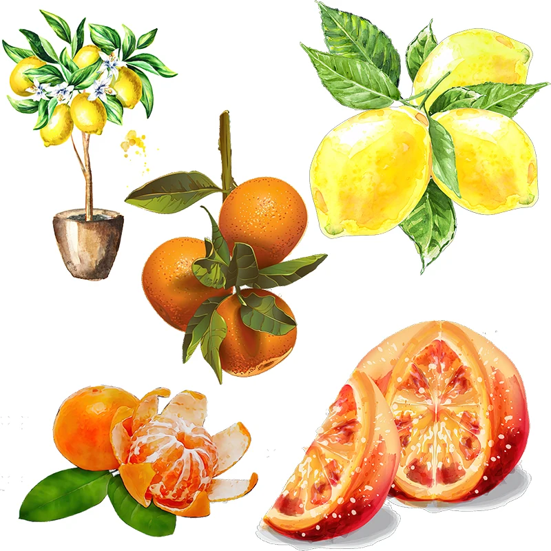 Three Ratels CO69 Pastoral style watercolor hand-painted fruit stickers Fresh lemon decals Waterproof self-adhesive