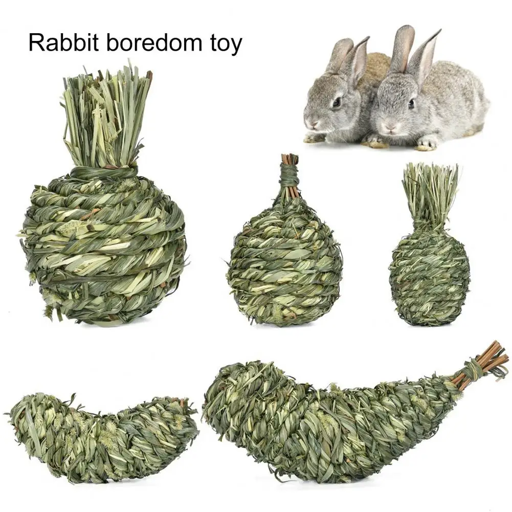 Pet Chew Toy Portable Bunny Gerbil Chinchilla Guinea Pig Bite Toy Safe Wear-resistant Pet Molar Toy Pet Supplies