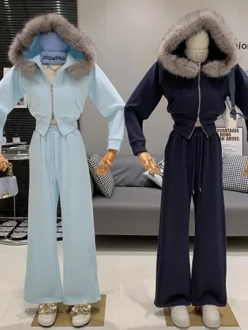 

Модный комплект из двух предметов: утепленная флисовая толстовка с капюшоном и брюки с высокой талией и широкими штанинами. Теплый зимний повседневный корейский стиль.