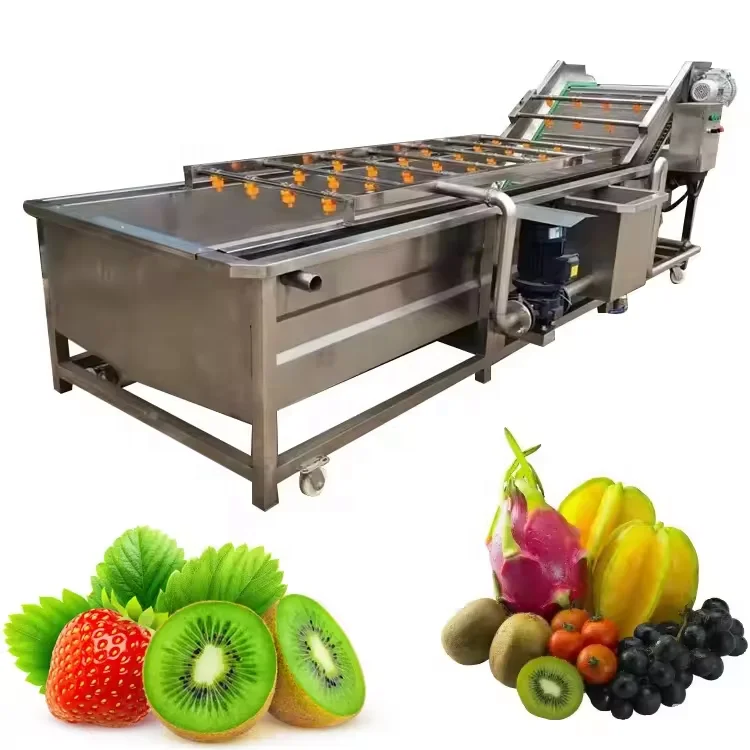 Industrial Fruit and Vegetable Bubble Washing Cleaning Processing Machine