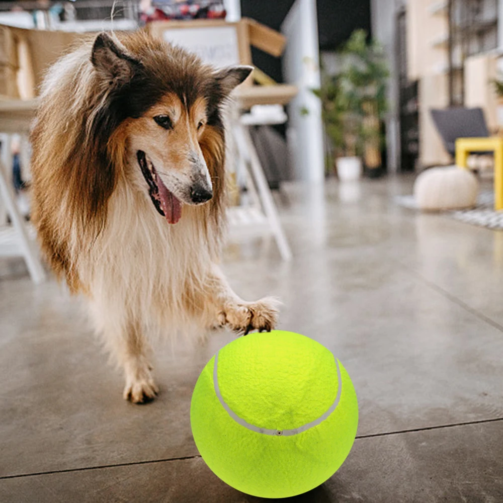 

9.5 Большие гигантские теннисные мячи, надувной теннисный мяч с насосом, игрушечные мячи для собак для подписи, детей, взрослых, домашних животных, собак, кошек, веселых