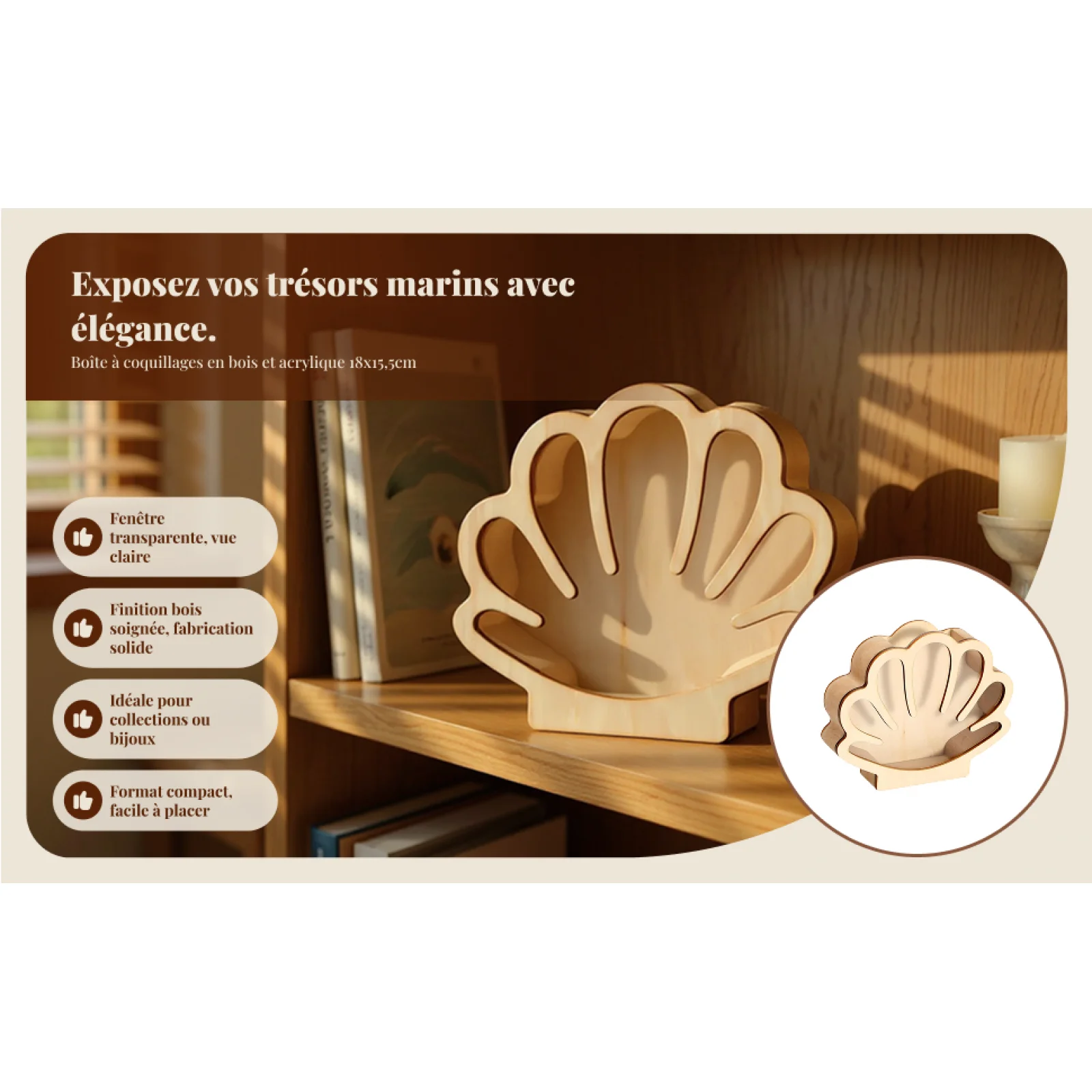 

Wooden Shell Display Box Collector Money Jar for Kids Decoration Coin Box Seashell Collection Keepsake Clear Shell Display Case