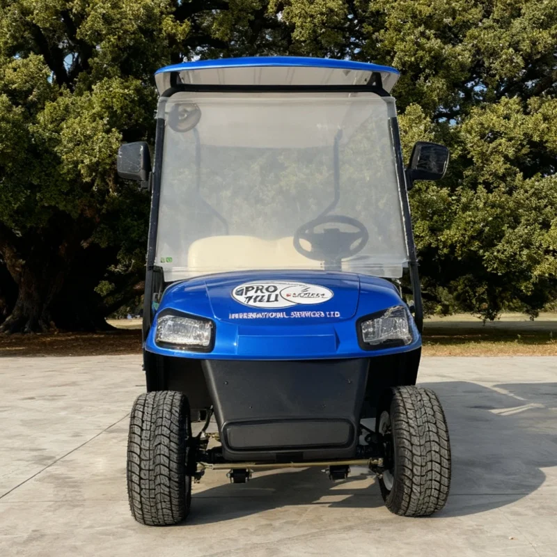 جديد بطارية تعمل بالطاقة الكبار عربة جولف كهربائية MacPherson تعليق 2 الركاب عربة شحن كهربائية قابلة للطي مع صندوق البضائع الخلفي