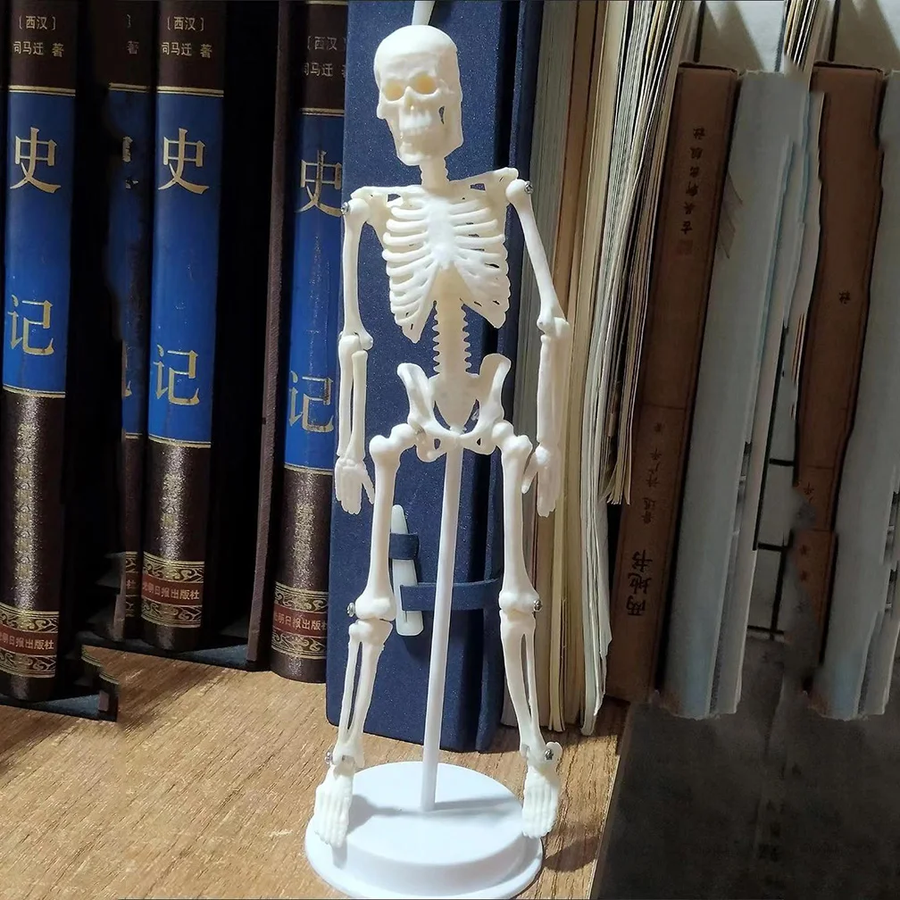 20CM Active Human Model Skeleto Anatomy Skeleton Art Medical Learning Halloween Party Decoration Skeleton Teaching Models People