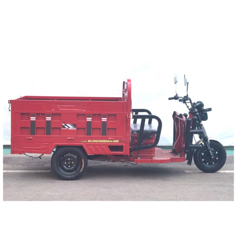

3 Wheel Electric Freight Pickup 800W 60V45AH Electric Freight Truck Old Age