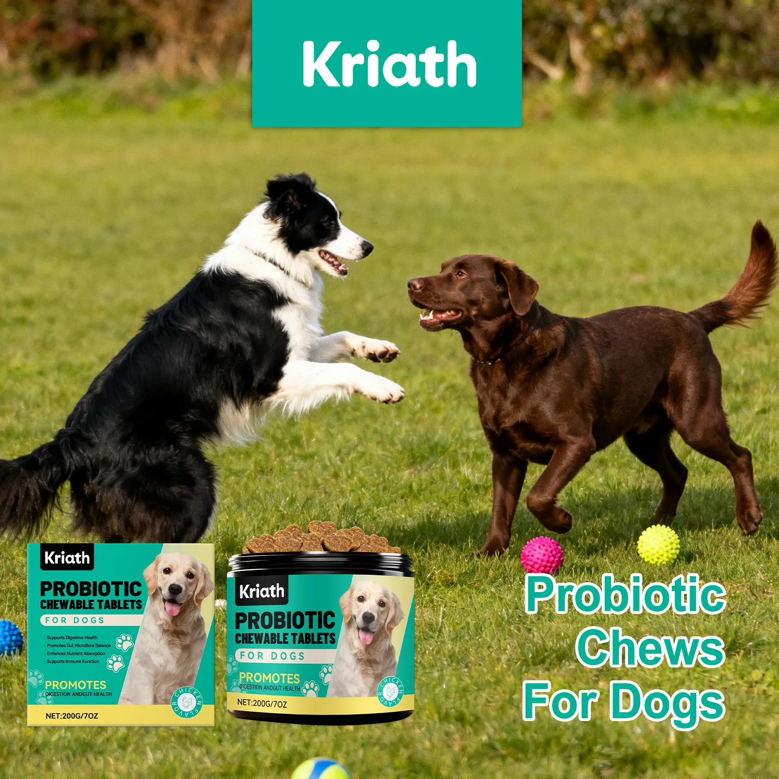 Dog Gut Health Probiotic Chews (All Ages)