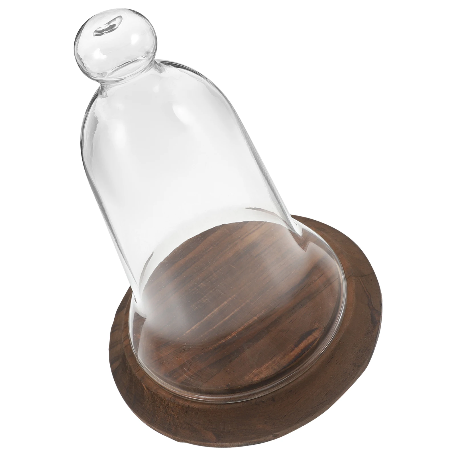 

Glass Display Dome Cloche Bell Jar Wooden Base for Flowers Succulents Plants Terrarium Clear Dustproof Cover Storage