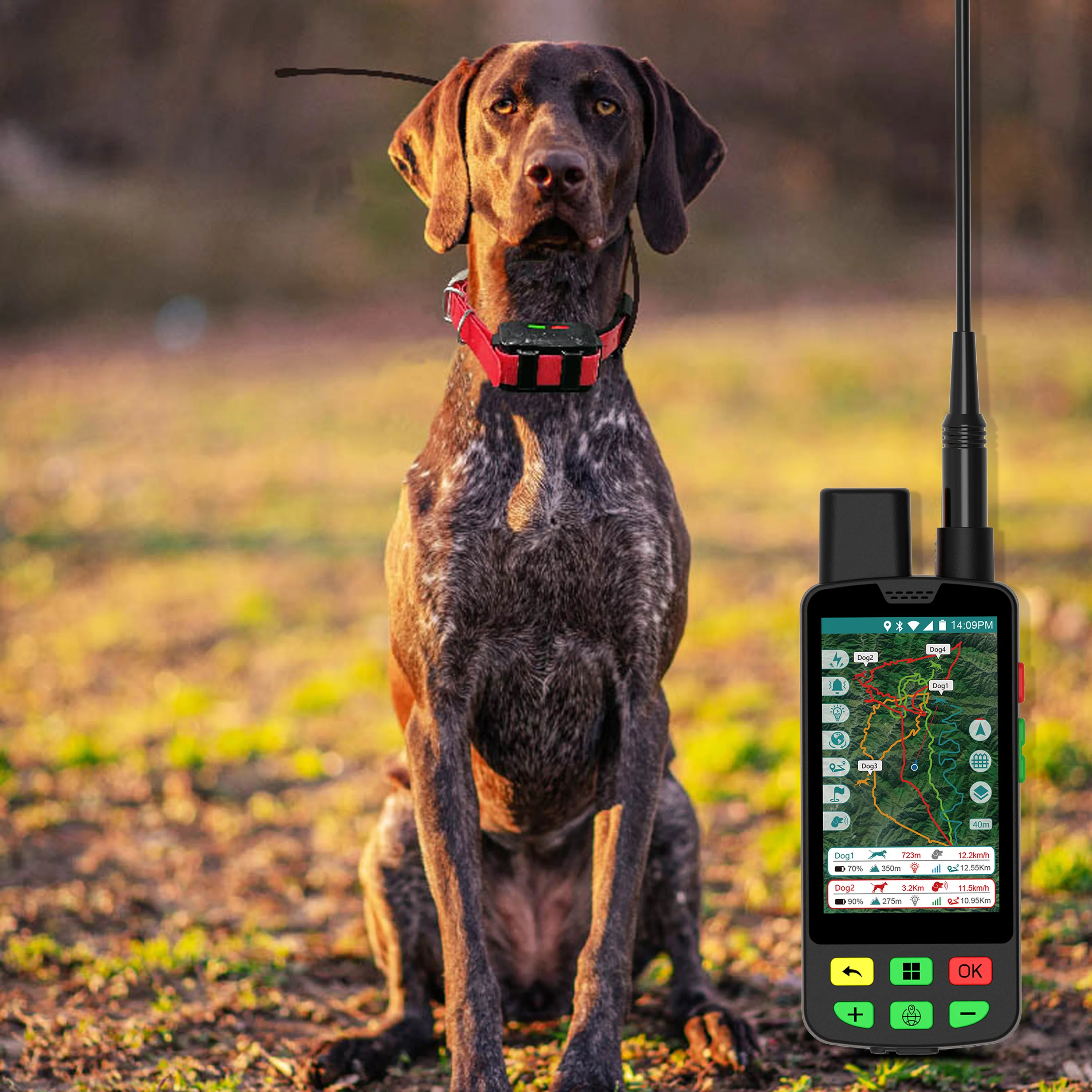 Industrial GPS Dog Collar 4G: Global LTE-M Compatibility + ESIM Provisioning & Remote Firmware Update Capabilities