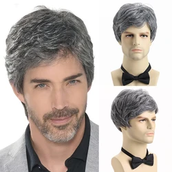 10 Inch Synthetic Hair Short Curly Mixed Gray Wig For Men Layered Heat Resistant Wigs With Bangs For Daily Use Festival Ball