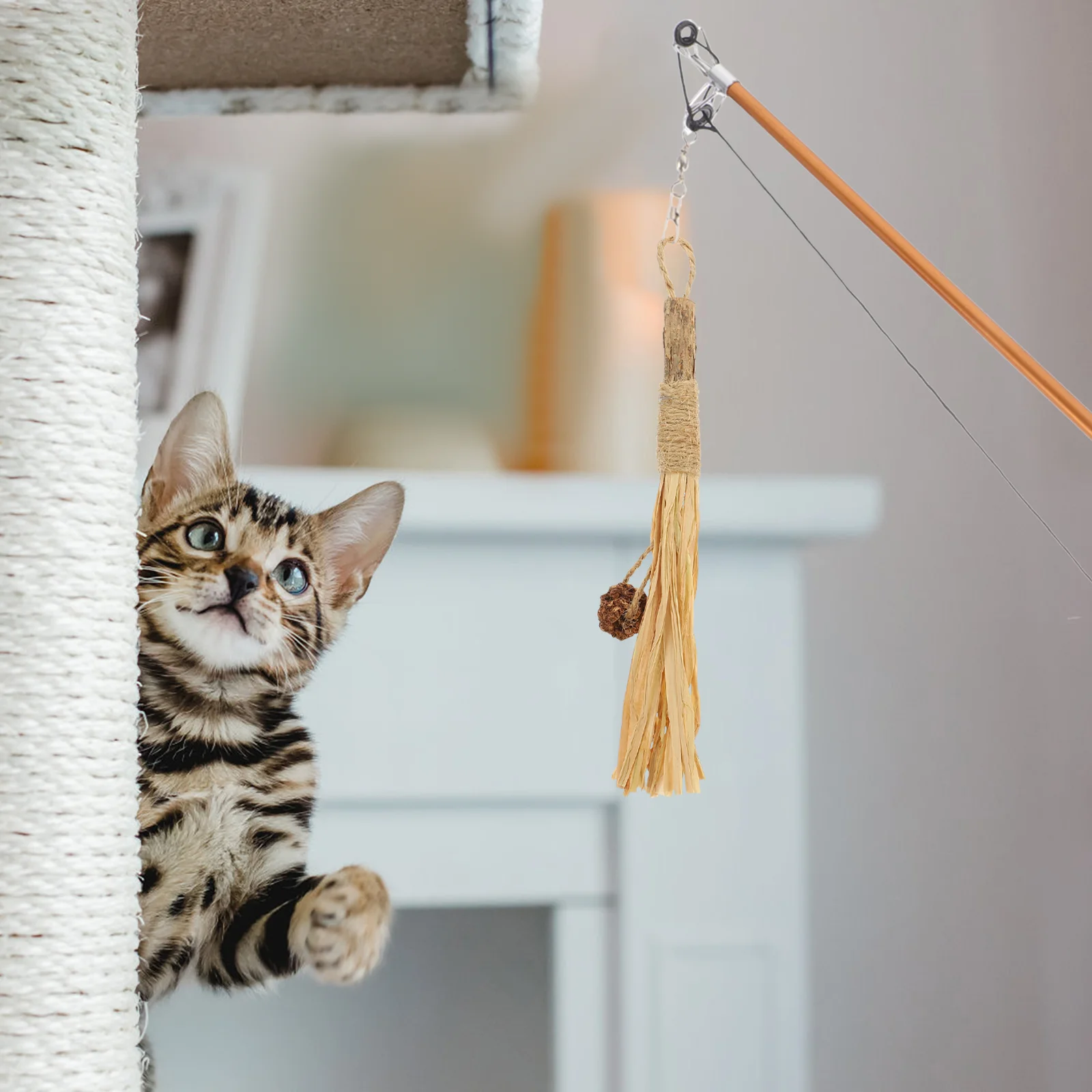 

4 Pcs Silver Rattan Stick Cat Chew Teaser Wands Kitten Teething Silvervine Sticks for Cats Polygonum Wood Indoor