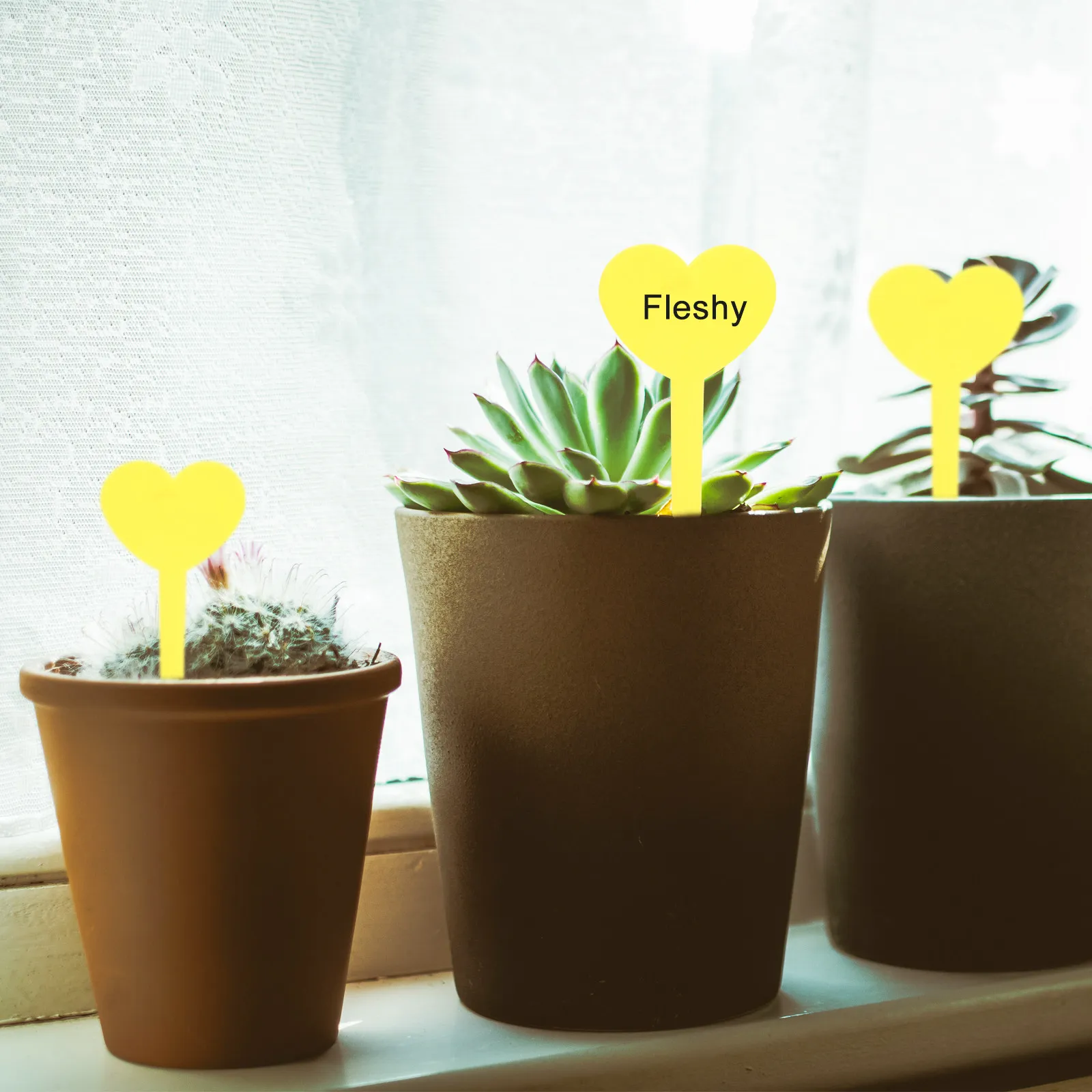 100Pcs Garden Plant Labels Reusable Heart Shape Markers for Flowers Herbs Seedlings Pots