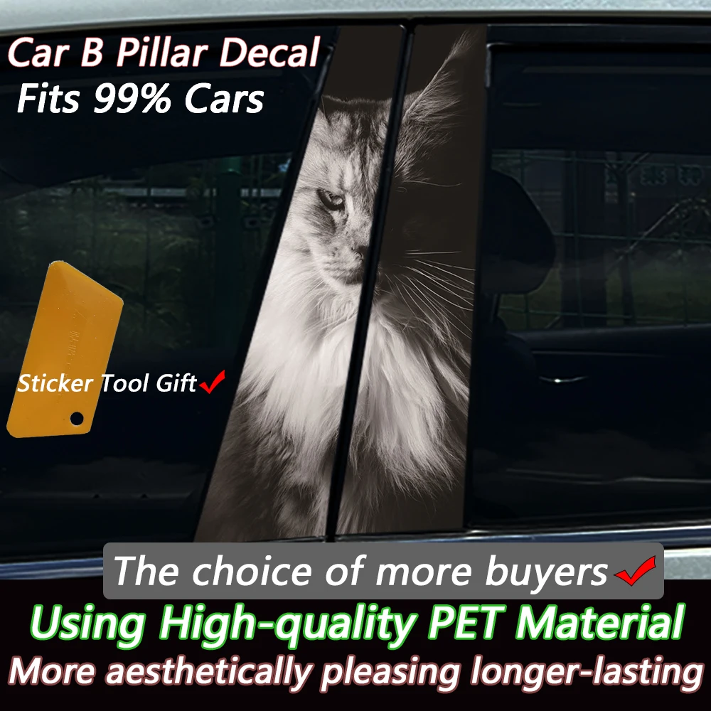 2PCS 3D Black & White Maine Coon Cat Car B Pillar Sticker, Waterproof UV-Resistant Auto Decal, Universal Scratch Cover