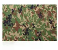 Malaysian Camo