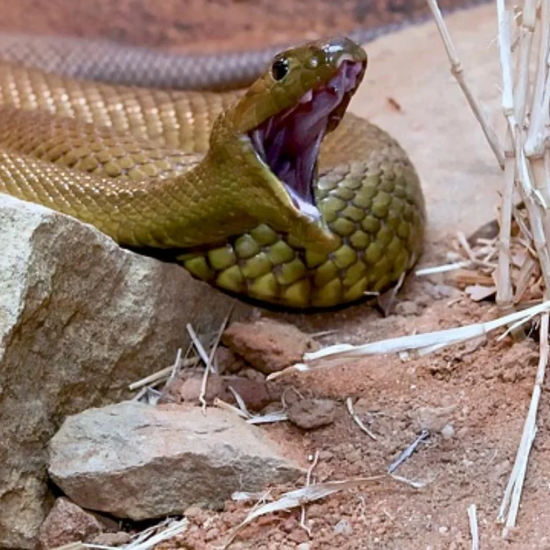 

Для MJX Hyper Go V2 10208 1/10 радиоуправляемые автомобили радиоуправляемые грузовики запасные части передняя/задняя планка