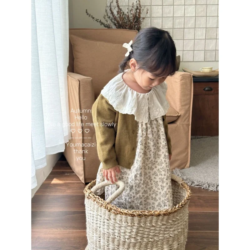 Spring and Autumn New girls' Korean-style floral lapel dress children's retro embroidered collar long sleeve dress