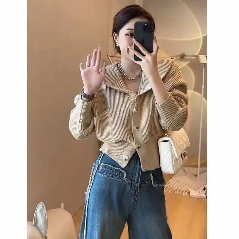 

Свитера Джемперы Кардиганы Женский кардиган Белый для женщин Массивный хлопковый дизайн с вышивкой Свободный праздничный готический панк-стиль Теплый